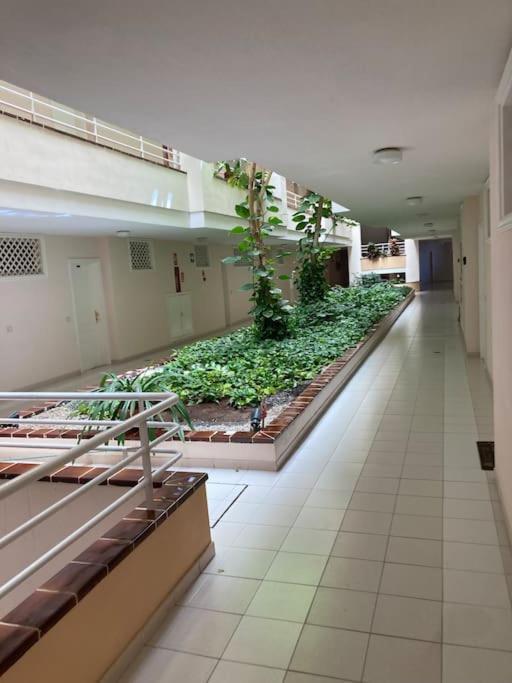 Apartament Sunset Aliss Пуерто-де-Сантьяго Екстер'єр фото